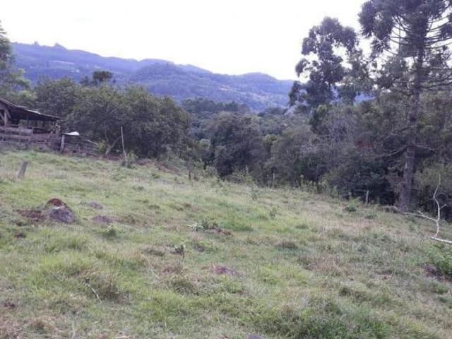 Área de terra Bairro Jamerthal em Picada Café RS!
