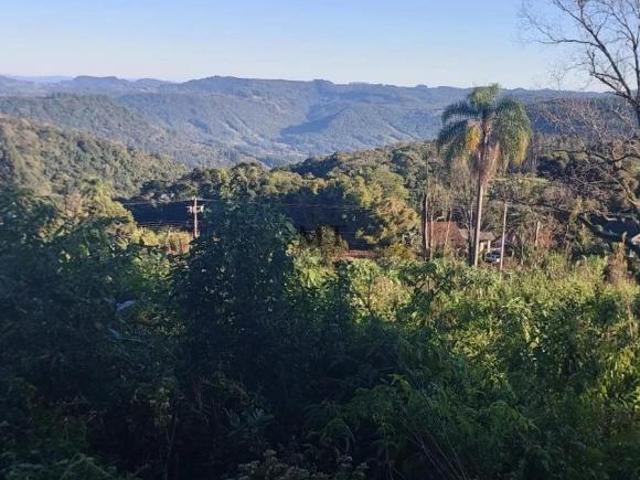 Área de terra bairro Quatro Cantos, Picada Café.RS