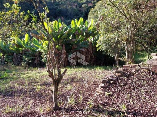 Área de terra com 13 hás com aproveitamento de 65 % aproximado