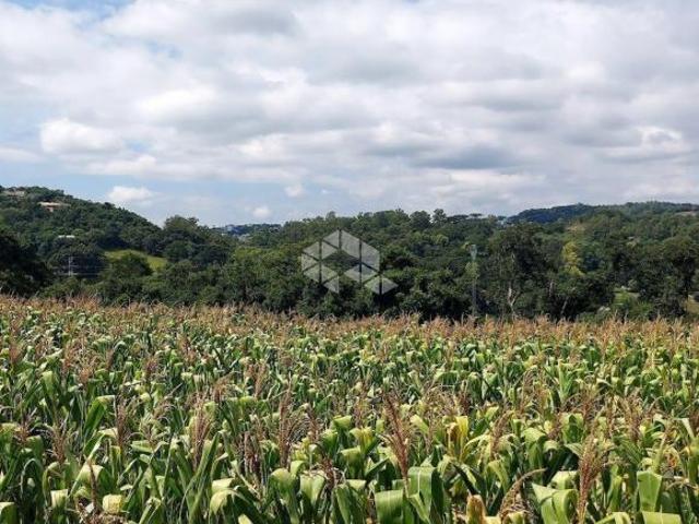 Área de terra com 14.5 hectares em São Gabriel