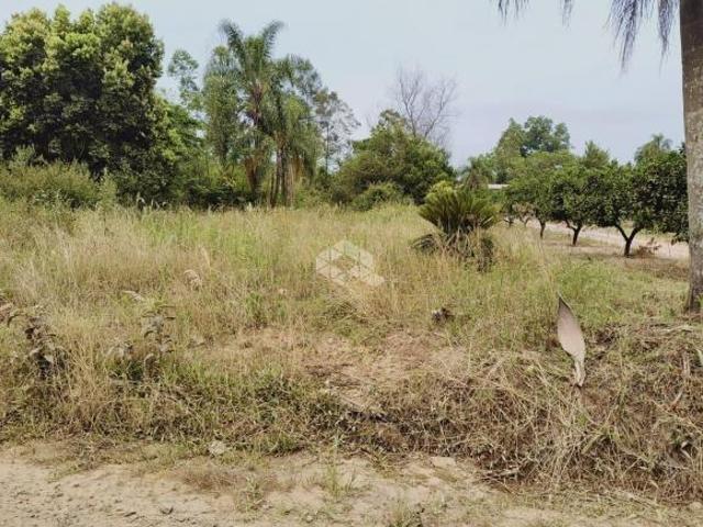 ÁREA DE TERRA COM ÁRVORES FRUTIFERAS