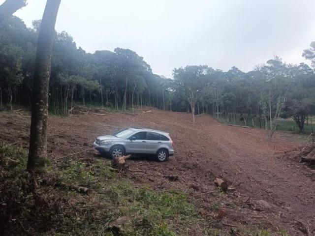 Área de terra em Caxias Galópolis