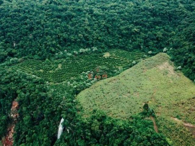 Área de Terra em Vale Real/RS