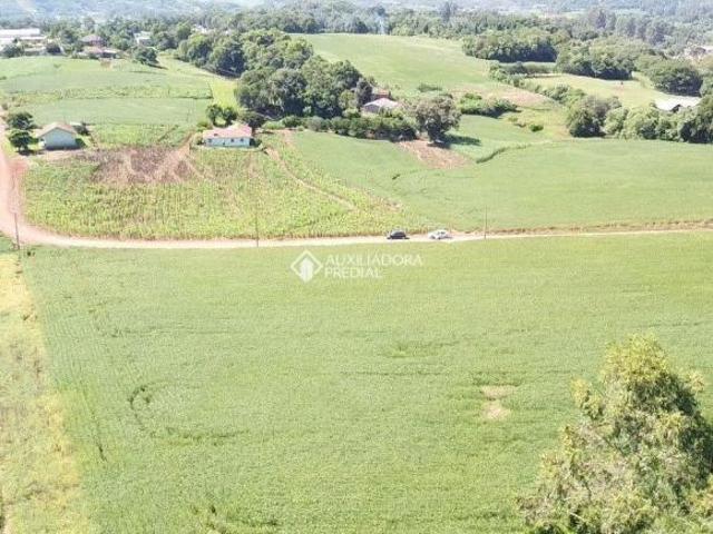 AREA DE TERRA IMIGRANTE