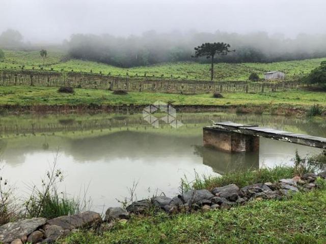 Área de terra rural de 14 hectares em Monte Belo do Sul