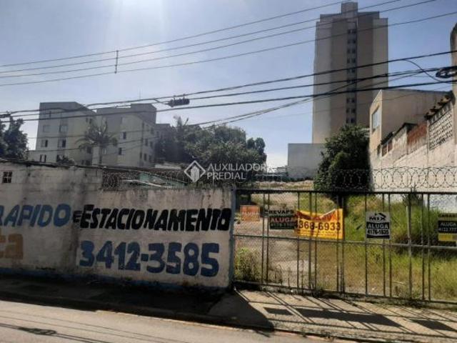 ÀREA DE TERRA, 1000 METROS QUADRADOS, PLANO, PAULICÉIA, SÃO BERNARDO DO CAMPO, SP