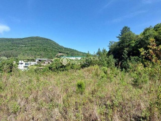 Área de terras a venda em zona urbana em local tranquilo e sossegado