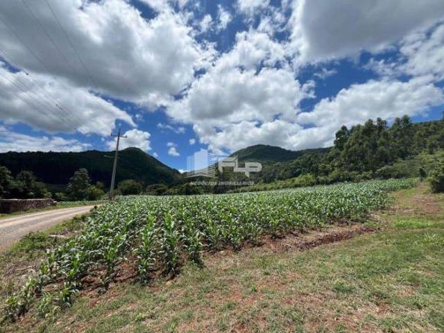 ÁREA DE TERRAS COM 10,1 HA