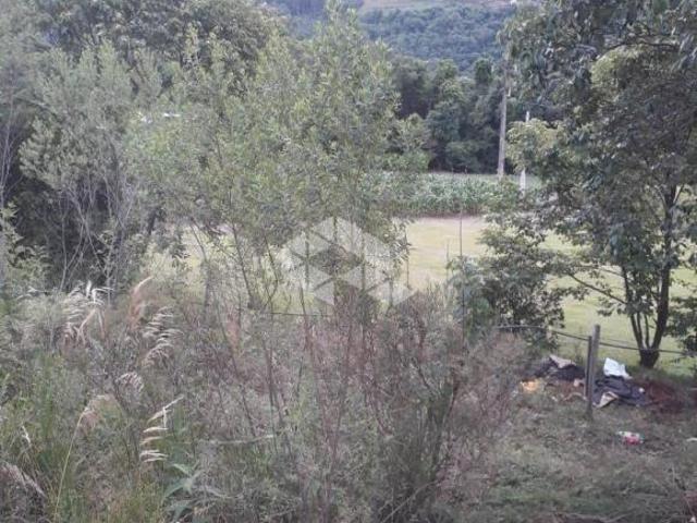 Área de Terras com 11.777,62 m² em Linha Pirajá, Nova Petrópolis