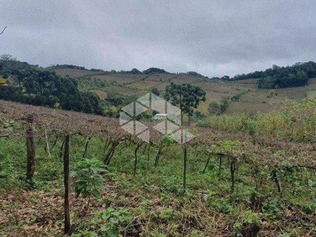 Área de terras com 12HA