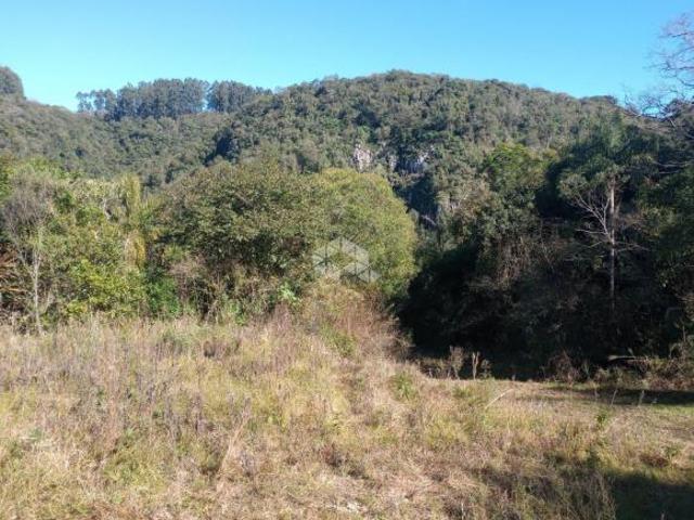 Área de terras com 42 hectares a venda em Cerro Branco chácara