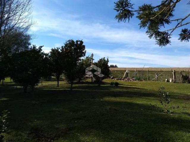 Área de terras com 56 ha em Cazuza Ferreira, São Francisco de Paula RS