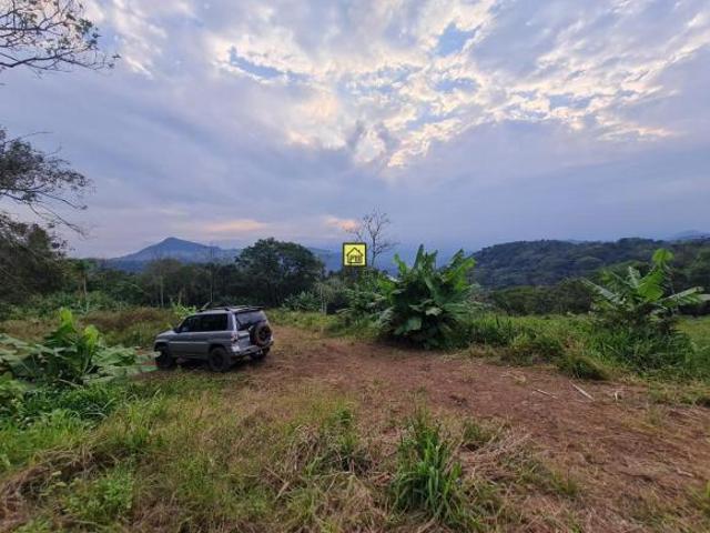 Área de terras com ótima localização em Igrejinha/RS, Linha Utz, id