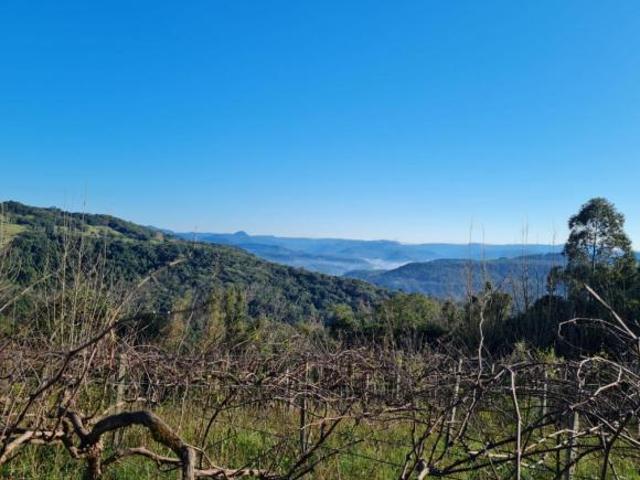 Área de terras com vista! Ideal para sítio ou construção de caban