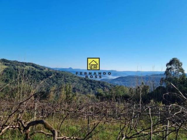 Área de terras com vista! Ideal para sítio ou construção de cabanas para locação!