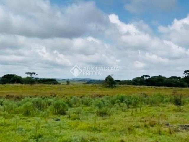 Área de terras em Cambará do Sul, na famosa Serra Gaúcha Terra dos Cânions