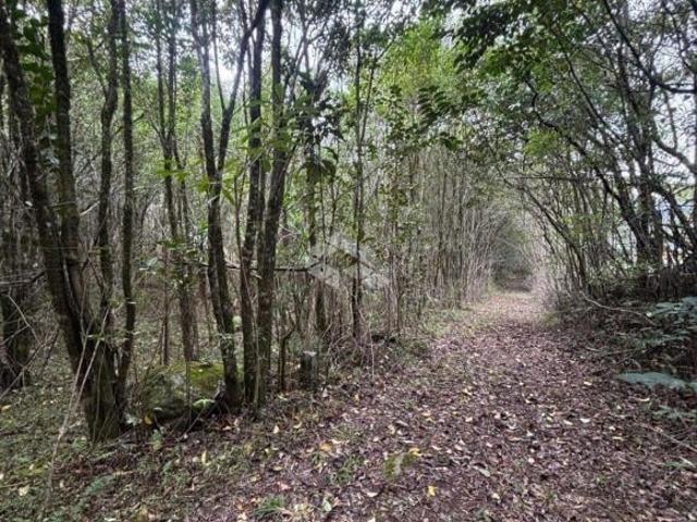 AREA DE TERRAS EM FLORES DA CUNHA PARA EXPLORAÇÃO TURISMO