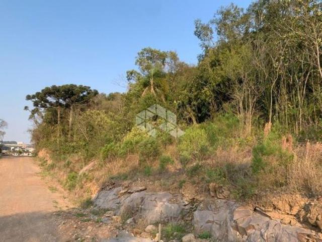 Área de terras em perímetro urbano
