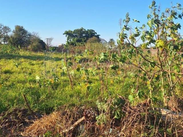 Área de 10.000 m2, à venda, Giocondo Orsi II, CAMPO GRANDE MS
