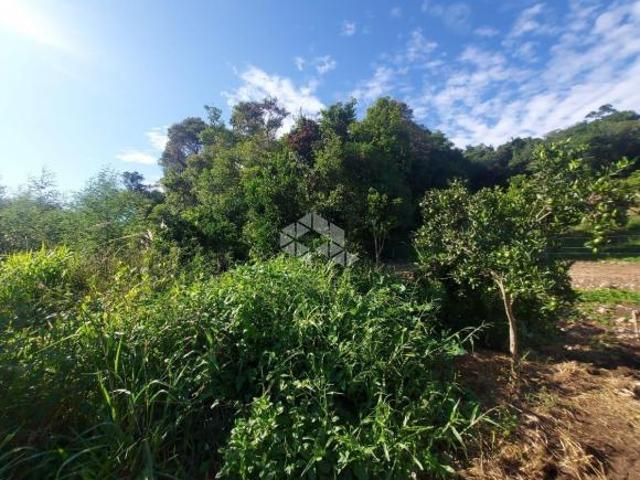 Área de 12 ha, em Boa Vista do Sul
