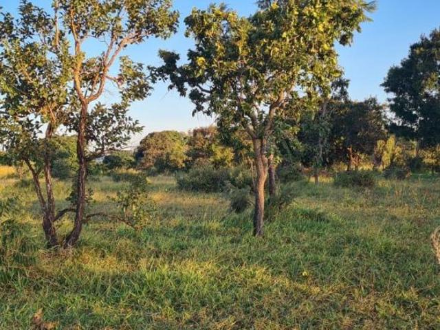 AREA DE 13 MIL MT PROXIMO BAIRRO SANTA LUZIA