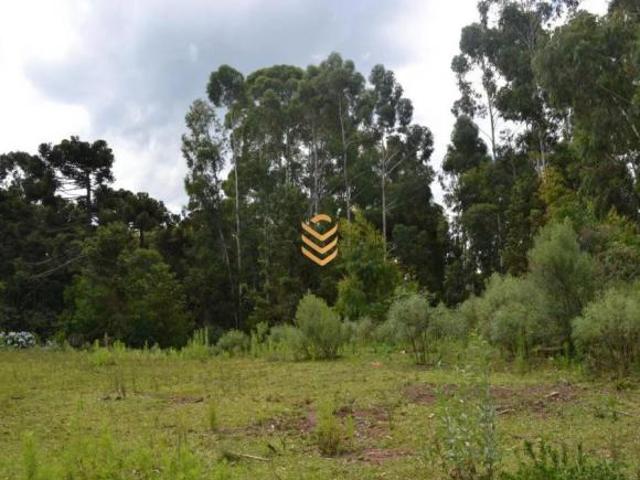 Área de 1,3 Hectares em Cambará do Sul