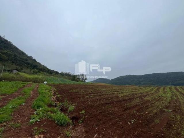 ÁREA DE 1,04 HECTARE EM MORRO GAÚCHO
