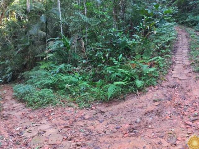 Área de 1.169 m² em local privilegiado próximo do mar na Praia Brava Fortaleza !
