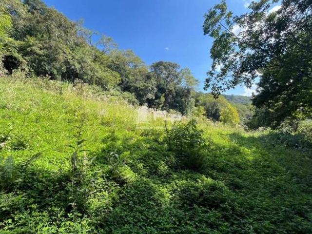 ÁREA DE 1 HECTARE NO BAIRRO SÃO ROQUE