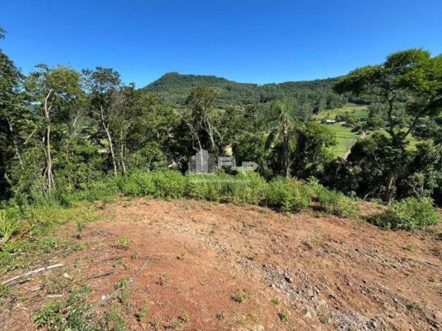 ÁREA DE 2,1 HECTARES NO COQUEIRAL