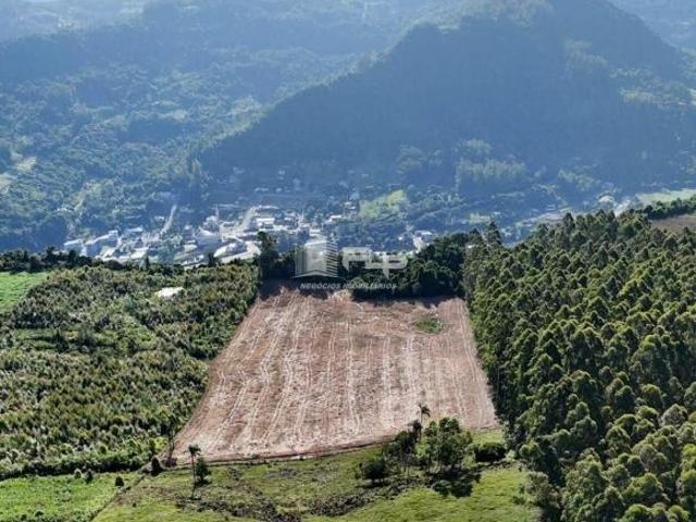 ÁREA DE 2,9 HECTARES MORRO CANASTRA
