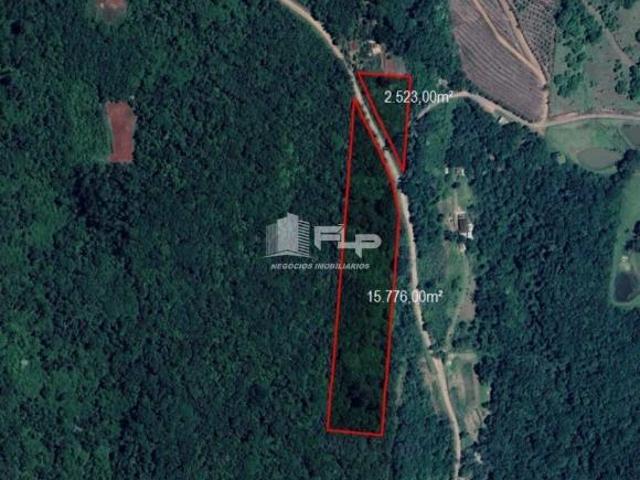 ÁREA DE 2 HA COM FÁCIL ACESSO NO MORRO GAÚCHO