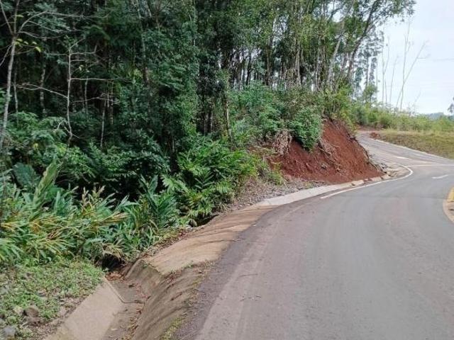 Área de 2 hectares no 28!