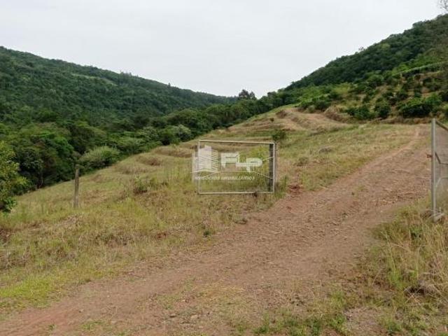ÁREA DE 2,8 HECTARES