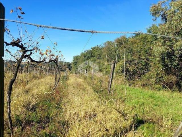 Área de 6hectares em São Gabriel, Garibaldi
