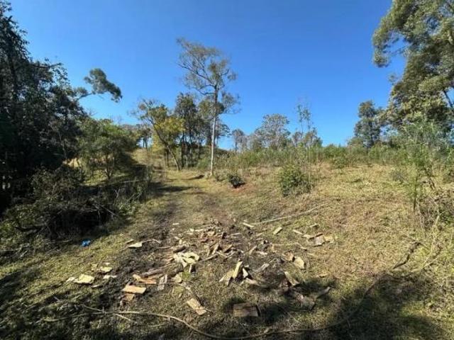 Área Exclusiva em Campo Magro – 29.000 m² com Lago e Excelente Localização