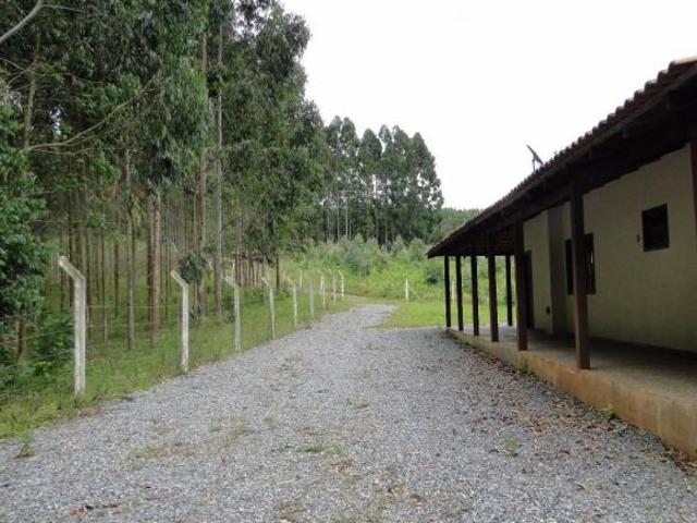 ÁREA EM MANDIRITUBA DE 20.000M2 COM PROJETO APROVADO PARA 100 LOTES