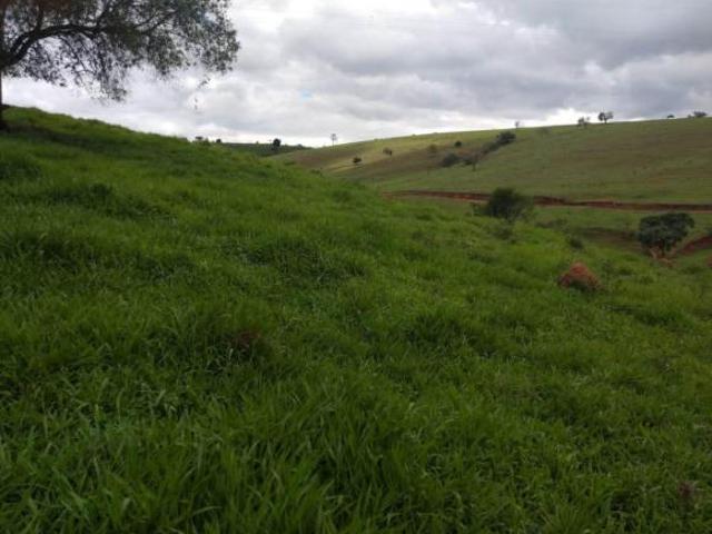 Área em São José Do Mato Dentro Ouro Fino/MG de 200m² 2 quartos à venda por R$ 640.000,00