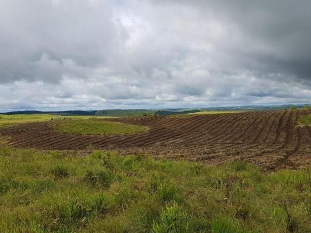 Área em Cambará do sul com 10 ha de lavoura