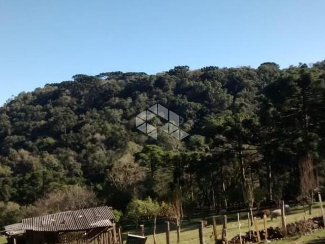 Área em Canela