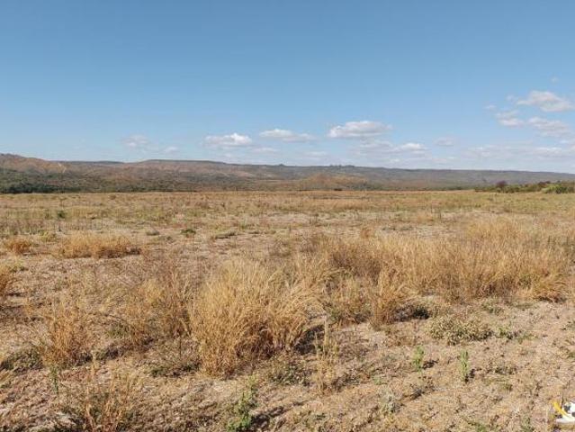 ÁREA EM COROMANDEL: 800 HECTARES COM PIVÔS E BEIRA RIO