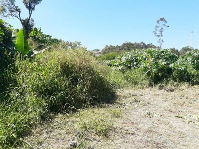 Área em Jardim do Rio Cotia, Cotia/SP de 0m² à venda por R$ 3.500.000,00