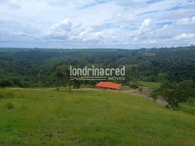Área em Pinhalão Pr, Pinhalão/PR de 10m² à venda por R$ 1.100.000,00