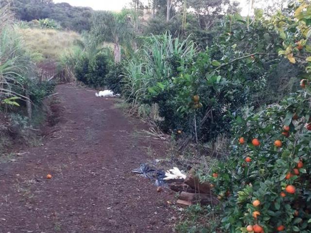 Área em, Pitanga/PR de 60000m² à venda por R$ 800.000,00