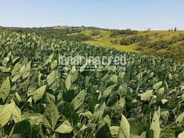 Área em Rural, Uraí/PR de 10m² à venda por R$ 880.000,00