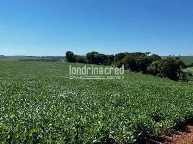 Área em Rural, Uraí/PR de 192000m² à venda por R$ 2.500.000,00