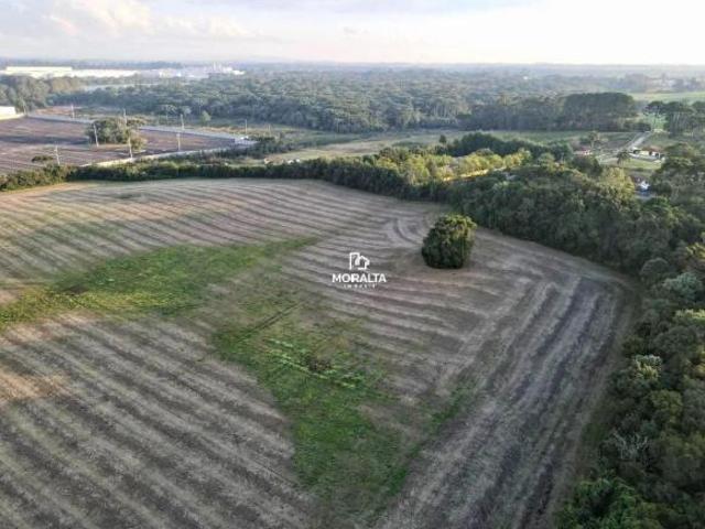 ÁREA INDUSTRIAL 86.800m² AO LADO DA VOLKSWAGEN – SÃO JOSÉ DOS PINHAIS