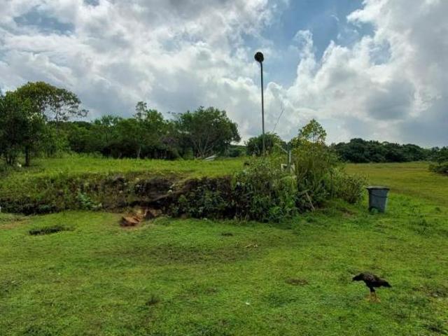 Área Industrial para Venda em São Vicente, Conjunto Residencial Humaitá
