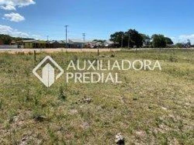 Area livre para edificação comercial ou residencial de 10.142 m2, com 83m de testada para a br 116