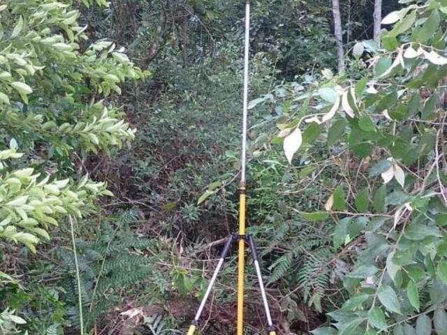 ÁREA PARA COMPENSAÇÃO AMBIENTAL OU CRÉDITO DE CARBONO A VENDA NO ESTADO DE SÃO PAULO, COM 1250 ALQUE